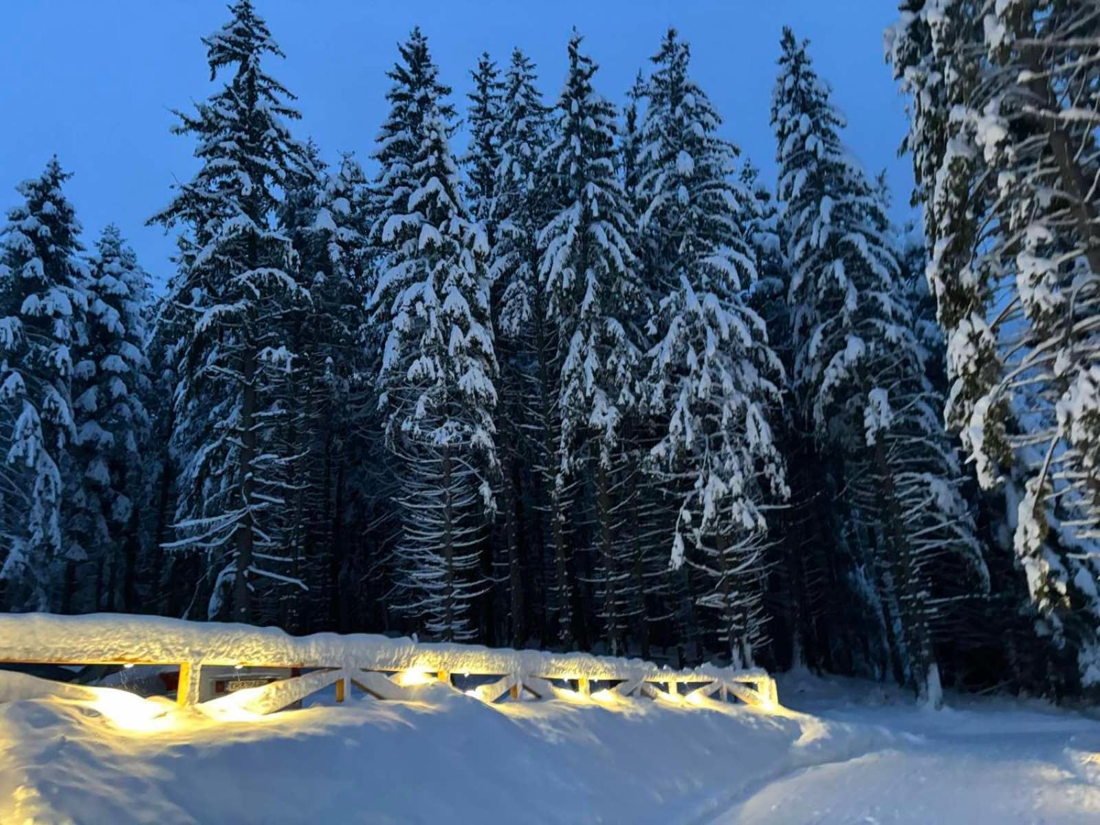 Hotel Algara Hut Panichishte Exterior foto