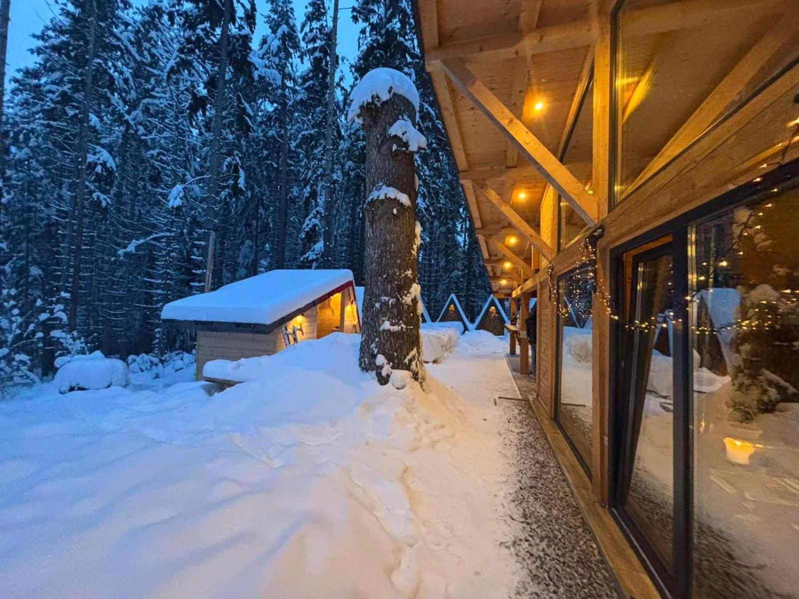 Hotel Algara Hut Panichishte Exterior foto